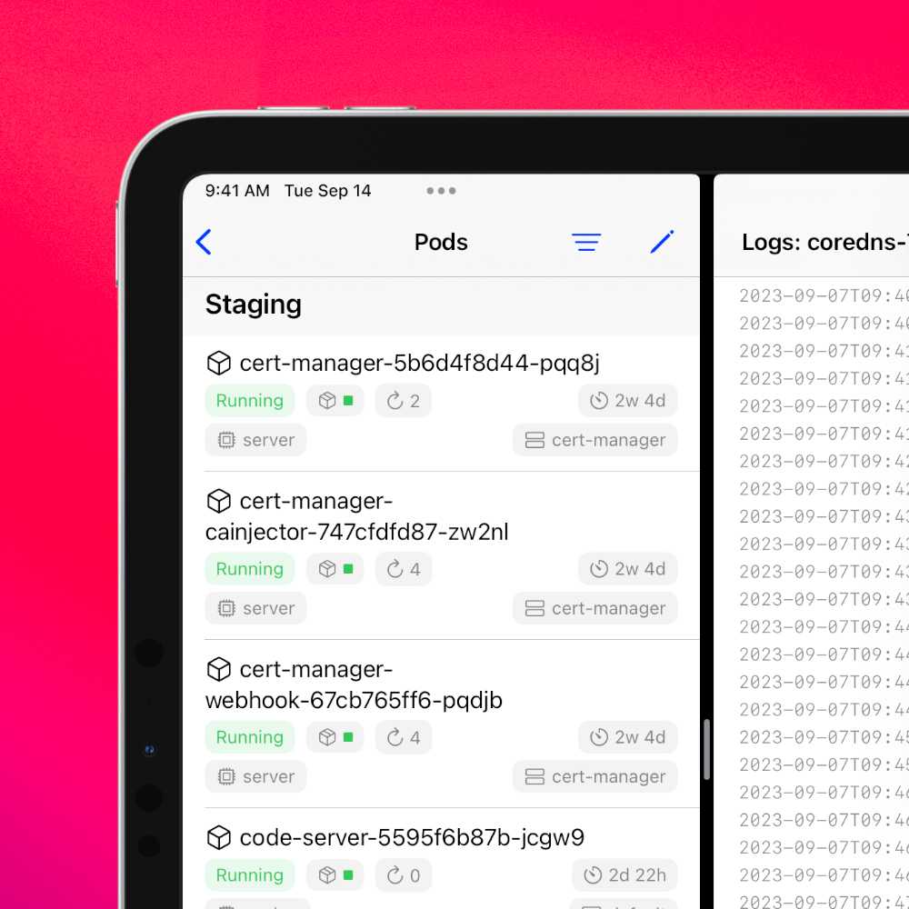 An iPad in split view showing a list of Kubernetes pods on the left and the logs of a pod on the right